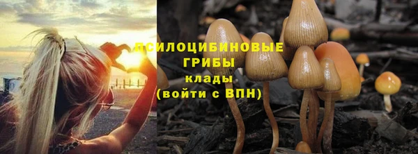 метадон Алексеевка