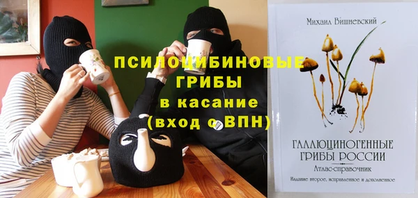 хмурый Абинск