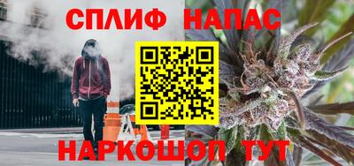 гидра Бердск