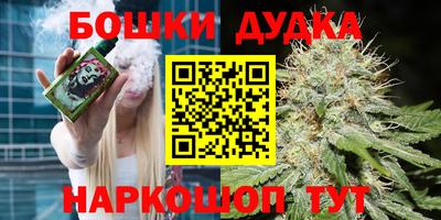 гидра Бердск