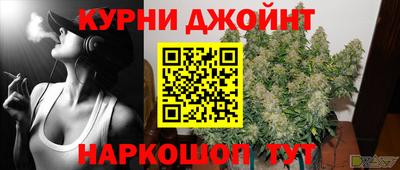 гидра Бердск