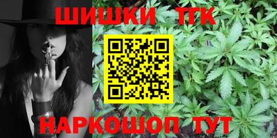 гидра Бердск