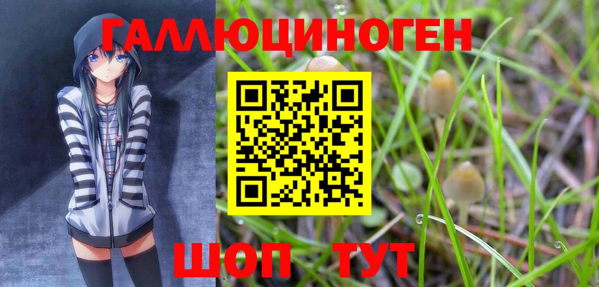 Симферополь  Псилоцибиновые грибы Magic Shrooms  Вход с VPN 